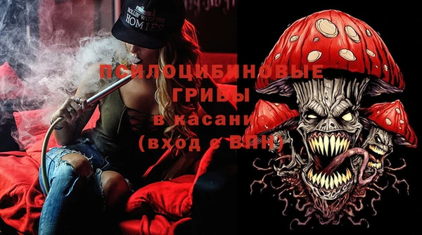 соль ск Арсеньев