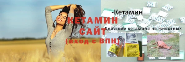 соль ск Арсеньев