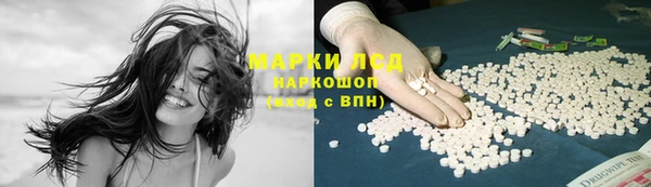 твердый Аркадак
