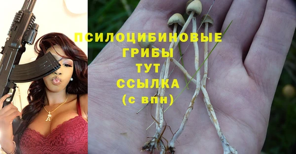 соль ск Арсеньев