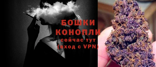 твердый Аркадак