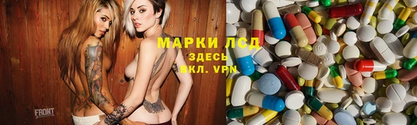 твердый Аркадак