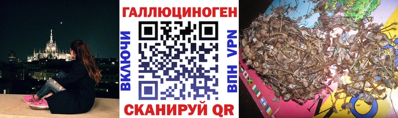 Галлюциногенные грибы Psilocybe  hydra ТОР  Новохопёрск 